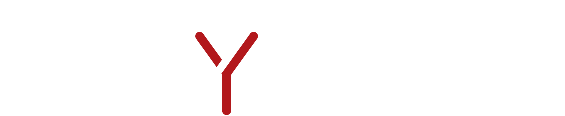 Sky Eventos